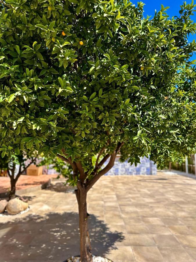 Libelle Andalusian Hideaway C Villa Granada Dış mekan fotoğraf