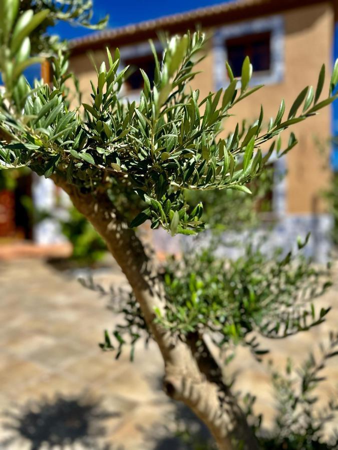Libelle Andalusian Hideaway C Villa Granada Dış mekan fotoğraf